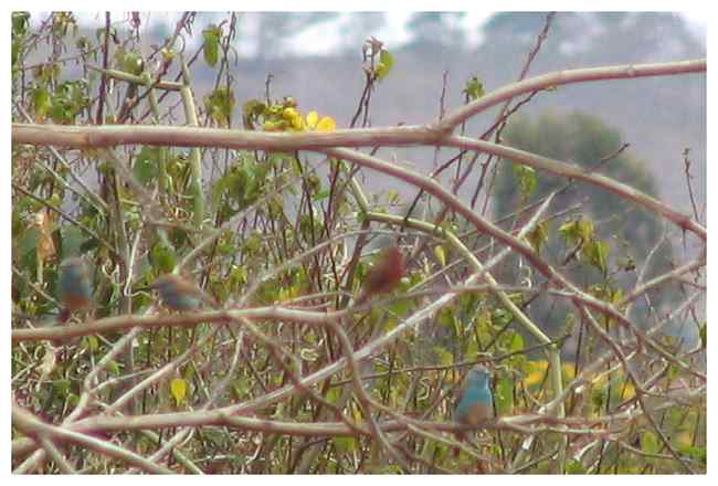 Bild: c15