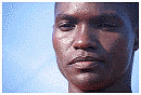 d4.jpg