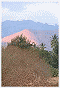 f06.jpg