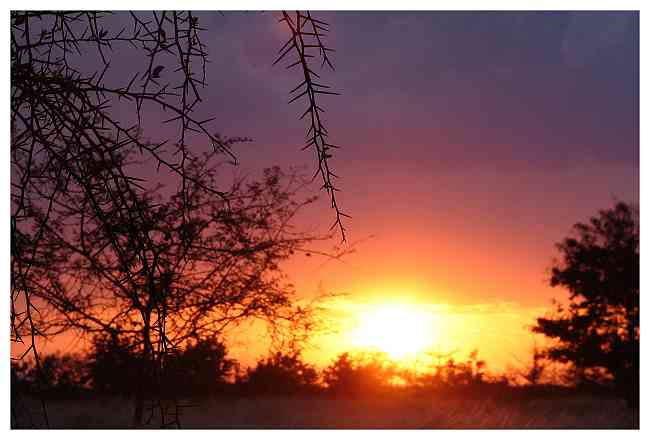 Bild: f08